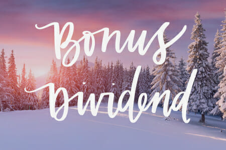 Bonus Dividend