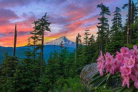 Mt. Hood Photo