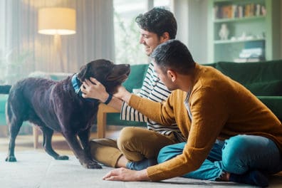 Workshop Image: Two men and a dog in a home