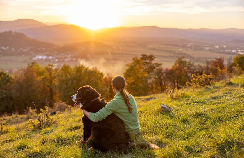 decorative image of woman and dog on hill