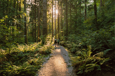 Young couple walking in the woods discussing why bank at a credit union and the benefits compared to a bank.”