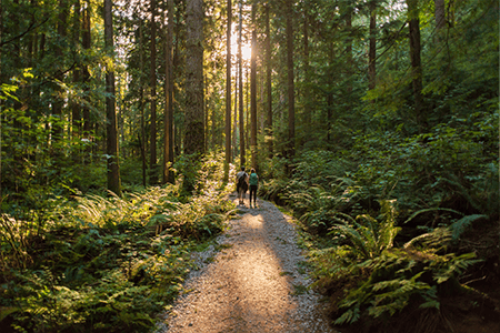 Young couple walking in the woods discussing why bank at a credit union and the benefits compared to a bank.”